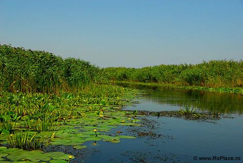 delta - peisajdelta3.jpg